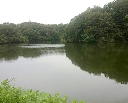 丸竹池